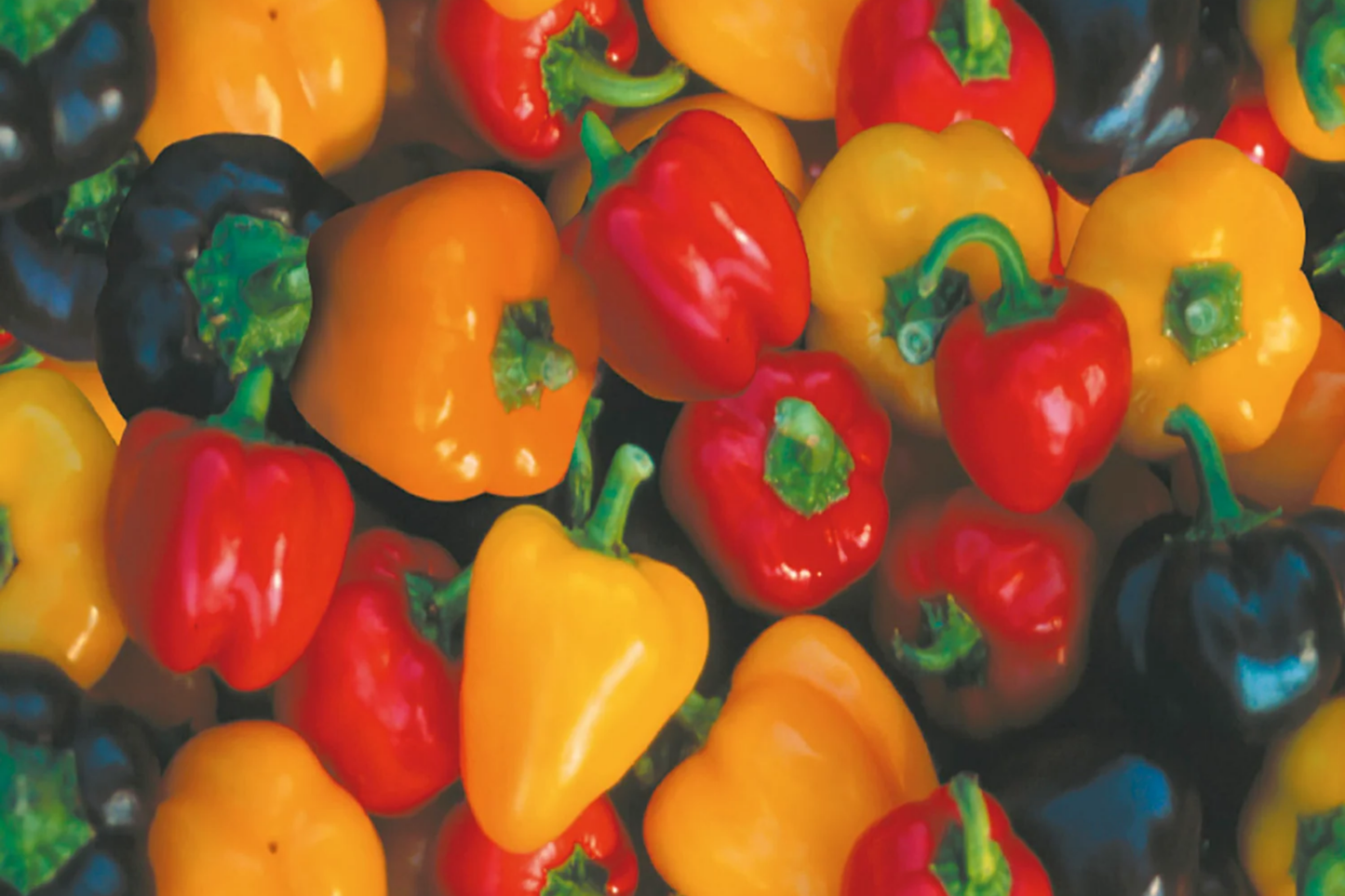 Pepper Vegetable Seeds 45 Count Non-GMO Bulk Seeds, Sweet and Spicy Varieties, Perfect for Home Garden