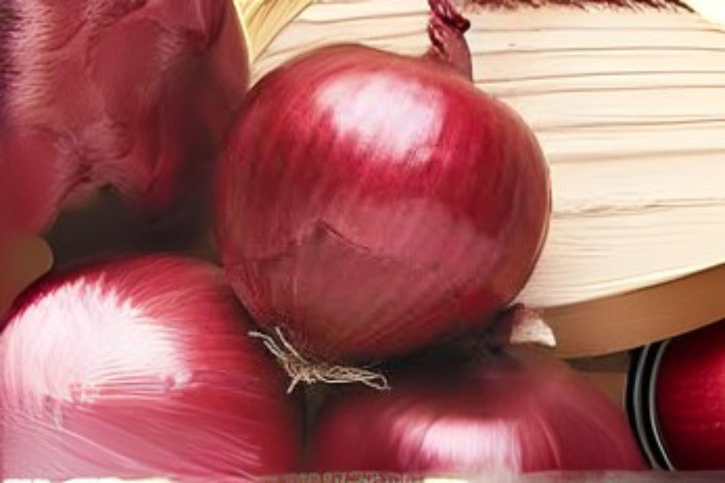Heirloom Southport Red Globe Onion Seeds - 250 mg Non-GMO