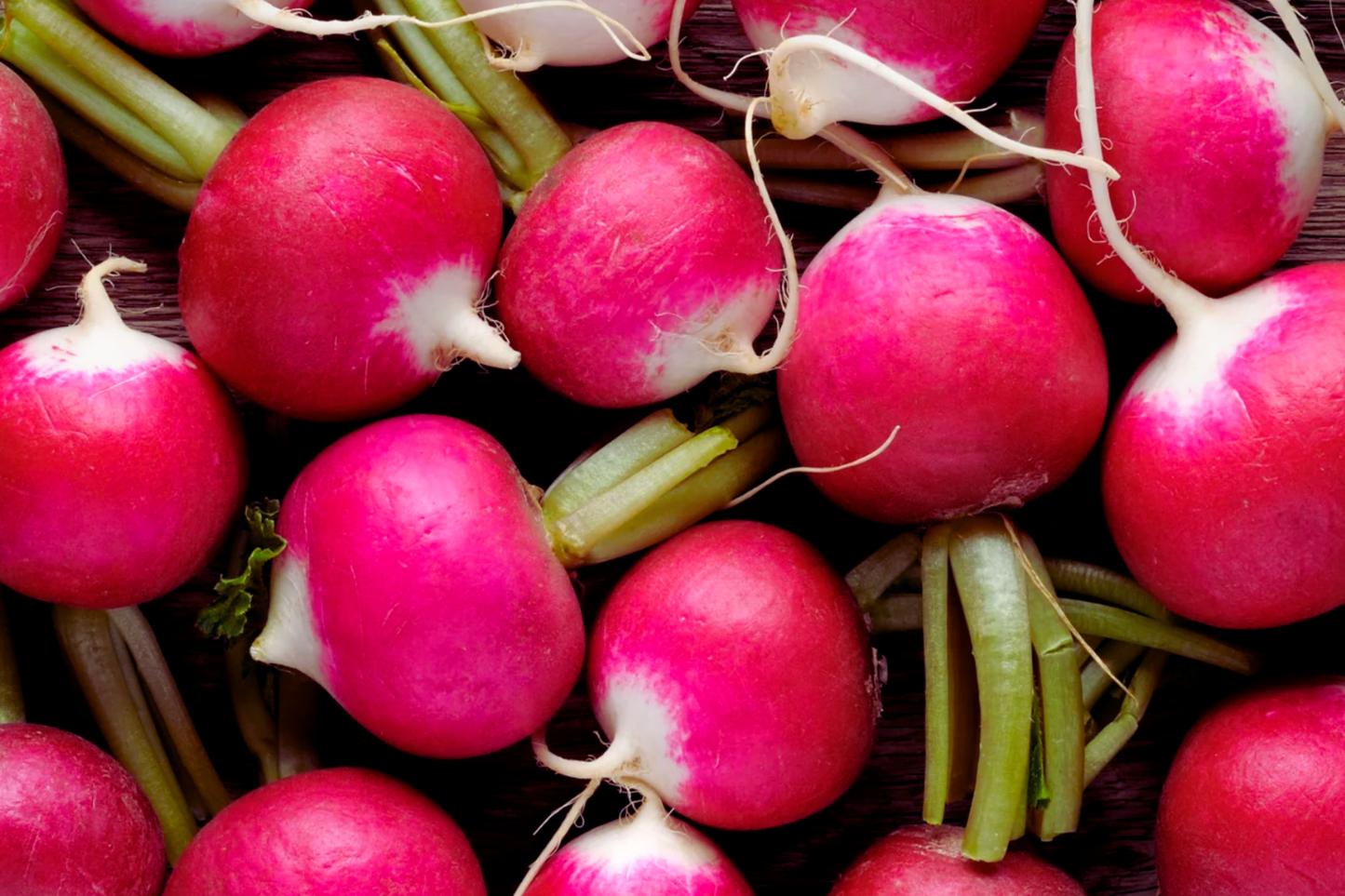 Champion Radish Seeds | Red Round Vegetable Seeds | Raphanus sativus