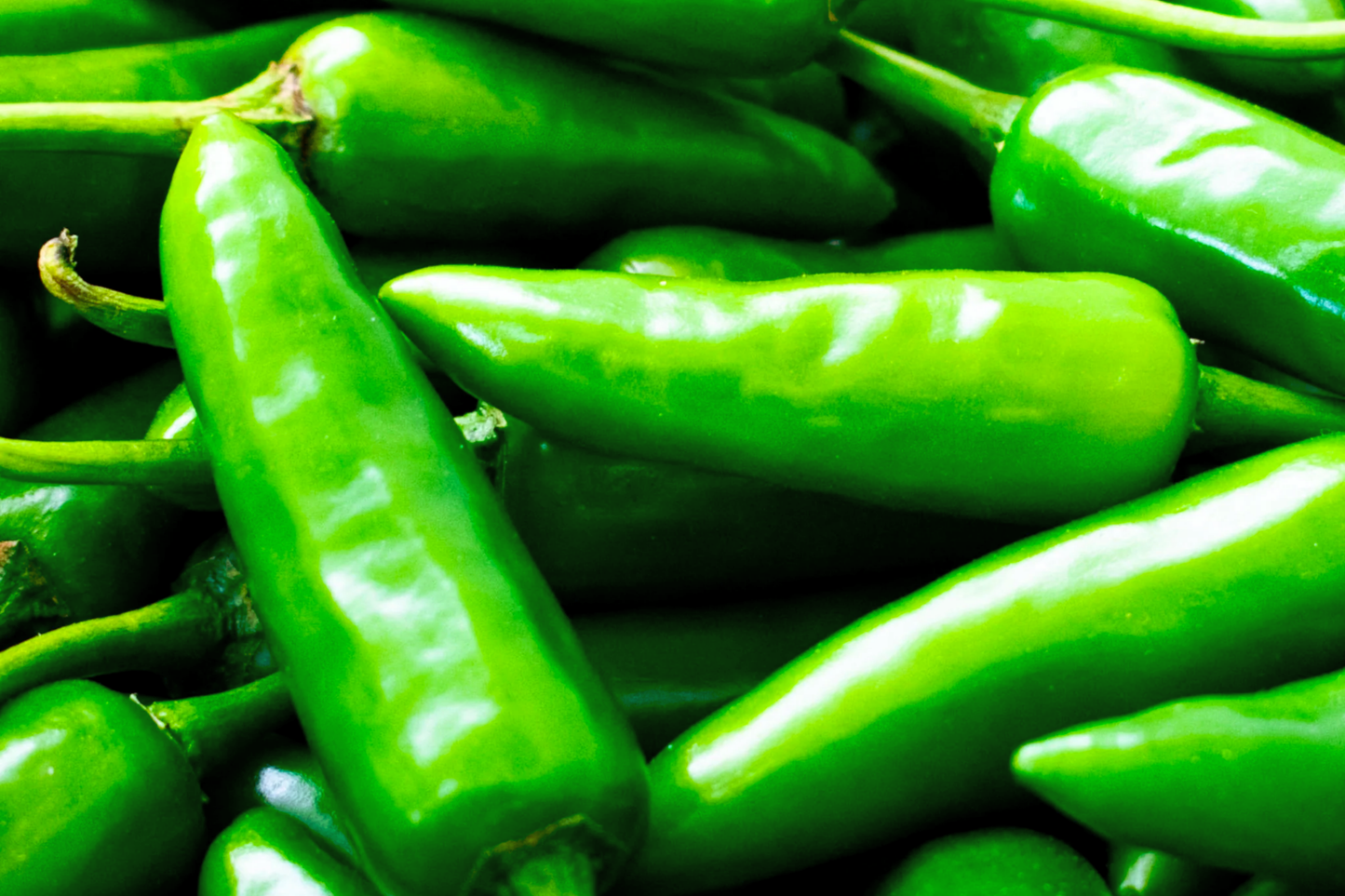 Anaheim Hot Pepper Seeds | Green Chili Pepper | NON-GMO Capsicum annuum