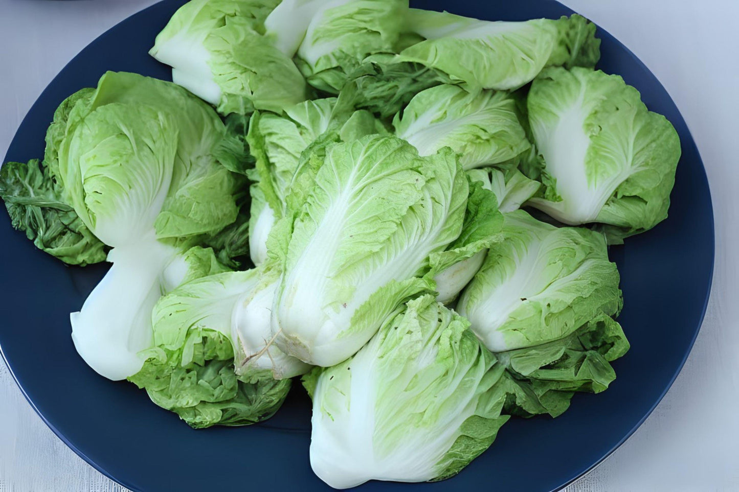 150 Kogane Chinese Cabbage Seeds: Asian Heirloom, Home Garden Variety