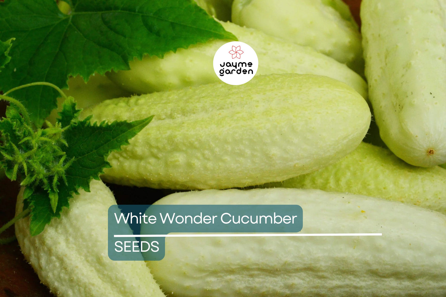 White Wonder Cucumber Seeds | Heirloom | Crisp & Bitter-Free | Non-GMO | | Perfect for Salads & Pickles