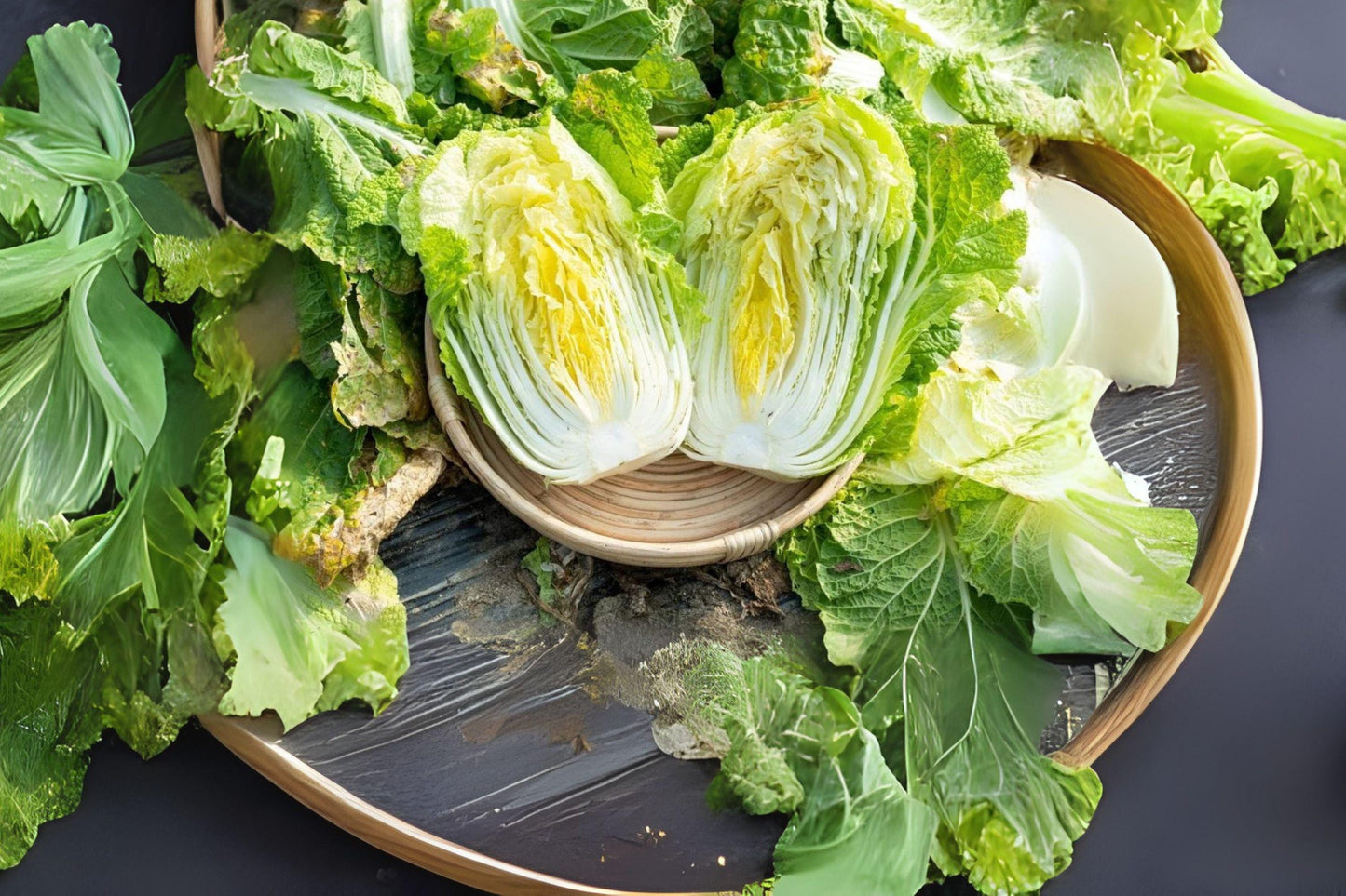 150 Chinese Cabbage Matsushima Seeds – Brassica Rapa Pekinensis, Compact Heads, Crisp Tender Asian Green