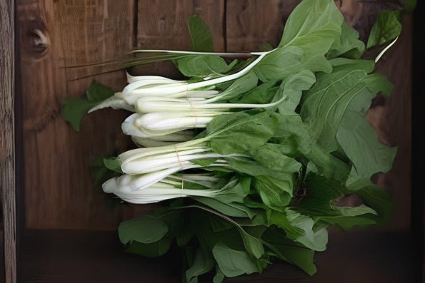 Pak Choi White Stem Seeds: Chinese Cabbage, Easy Grow - 400 Seeds