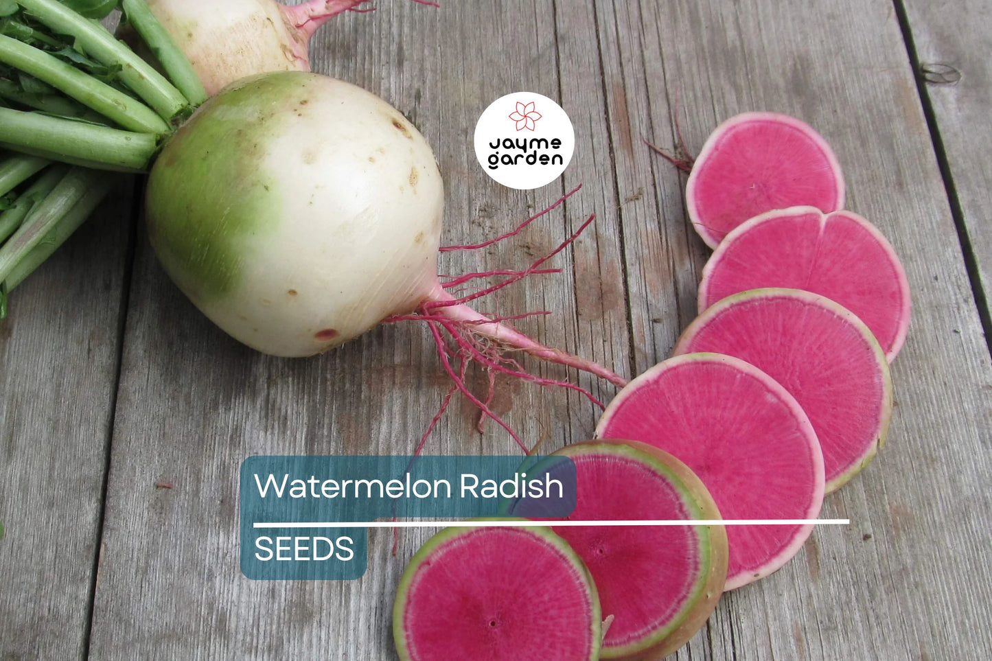 Watermelon Radish Seeds - Heirloom, Non-GMO, Pink Flesh, Mild & Sweet, USDA Zones 3-10,