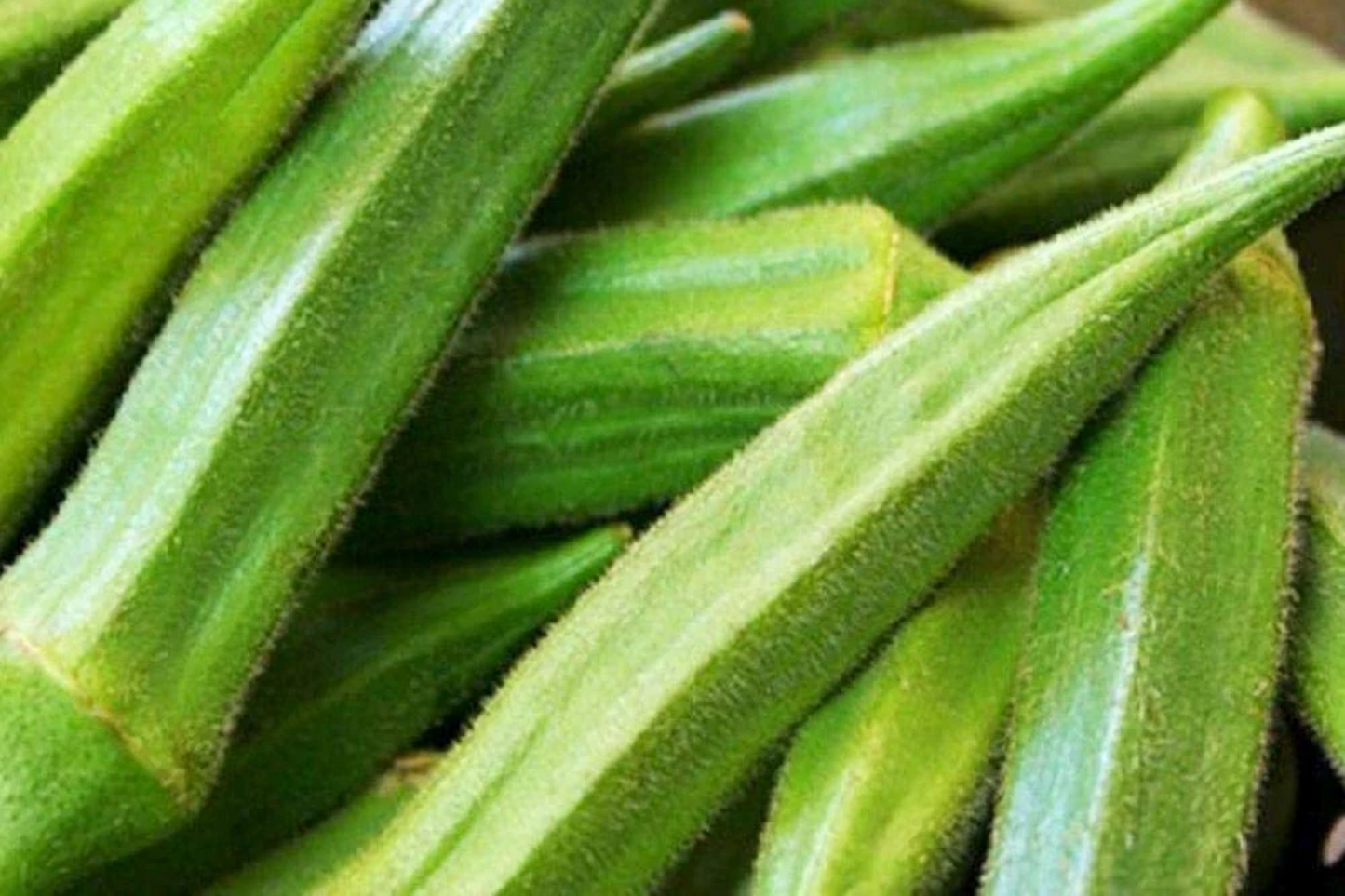 100 Emerald Okra Seeds - Heirloom, Non-GMO, Tender Green Pods, Fast-Growing, High-Yield, Drought-Tolerant, USA Seller, !