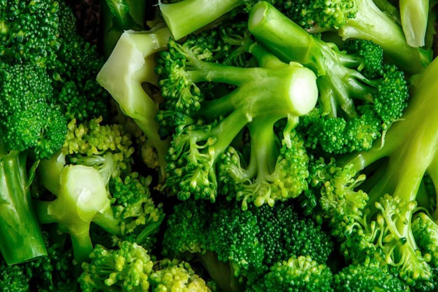 1000 Waltham 29 Broccoli Seeds - Non-GMO Heirloom | Cold Hardy & Productive | Spring and Fall Planting | USA Seller |