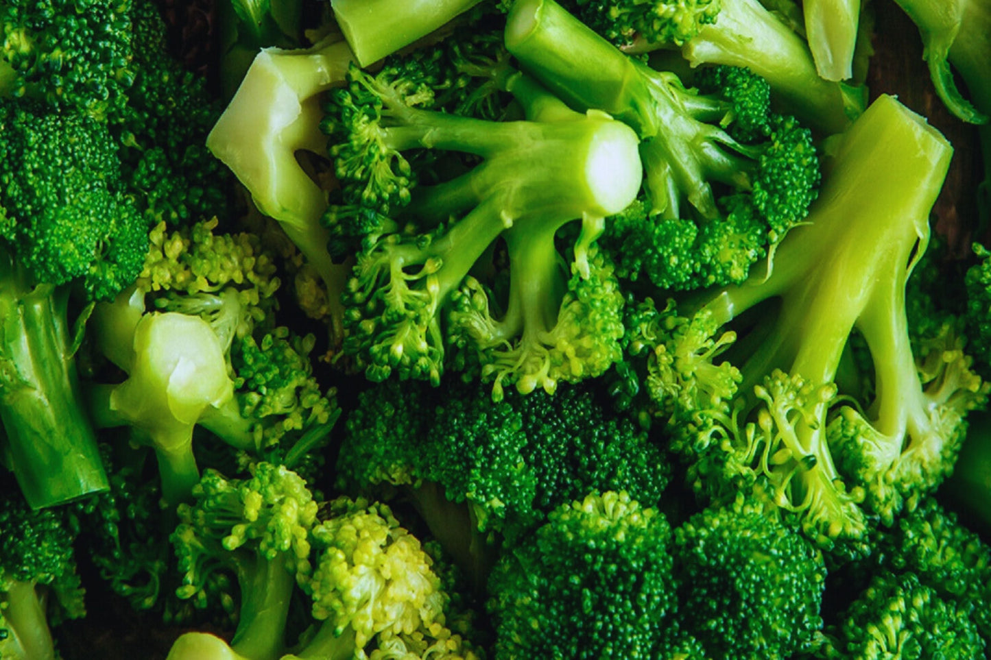 Chinese Broccoli Seeds - 300+ Non-GMO Kailaan Gai Lan Kai Lan Seeds | Brassica oleracea var. alboglabra