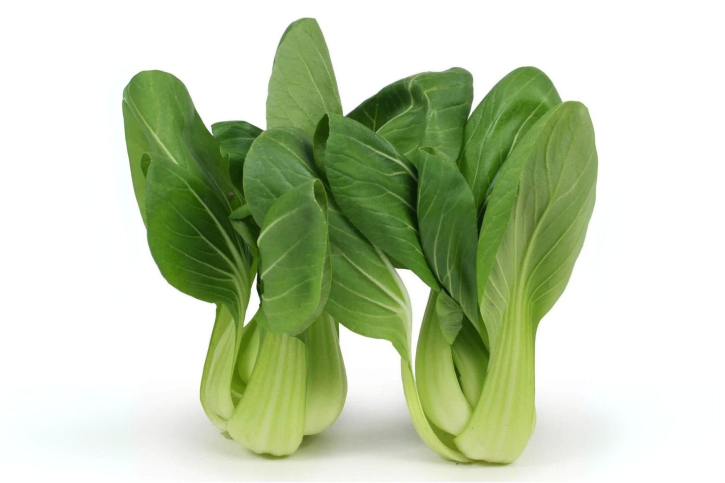 Tatsoi Seeds: Asian Heirloom Leafy Green, Baby Bok Choy - 250 Seeds