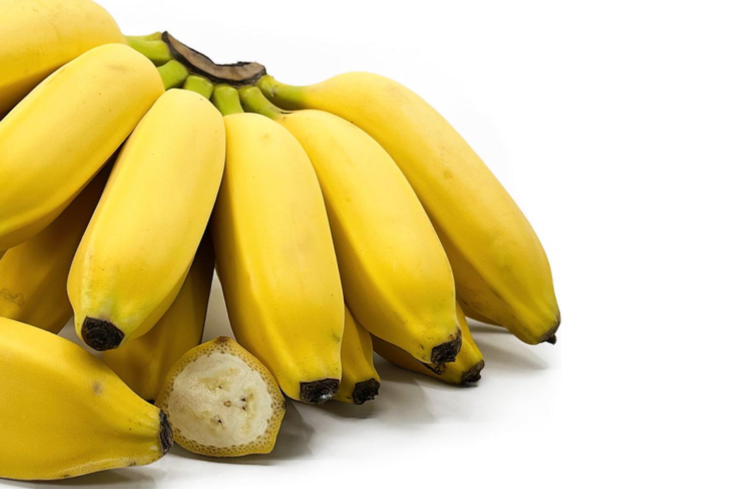 Lady Finger Banana Tree - Live Seedling 2’-3’ Tall | Sweet & Creamy Fruit | Tropical Beauty | Easy Care and Fast Growing