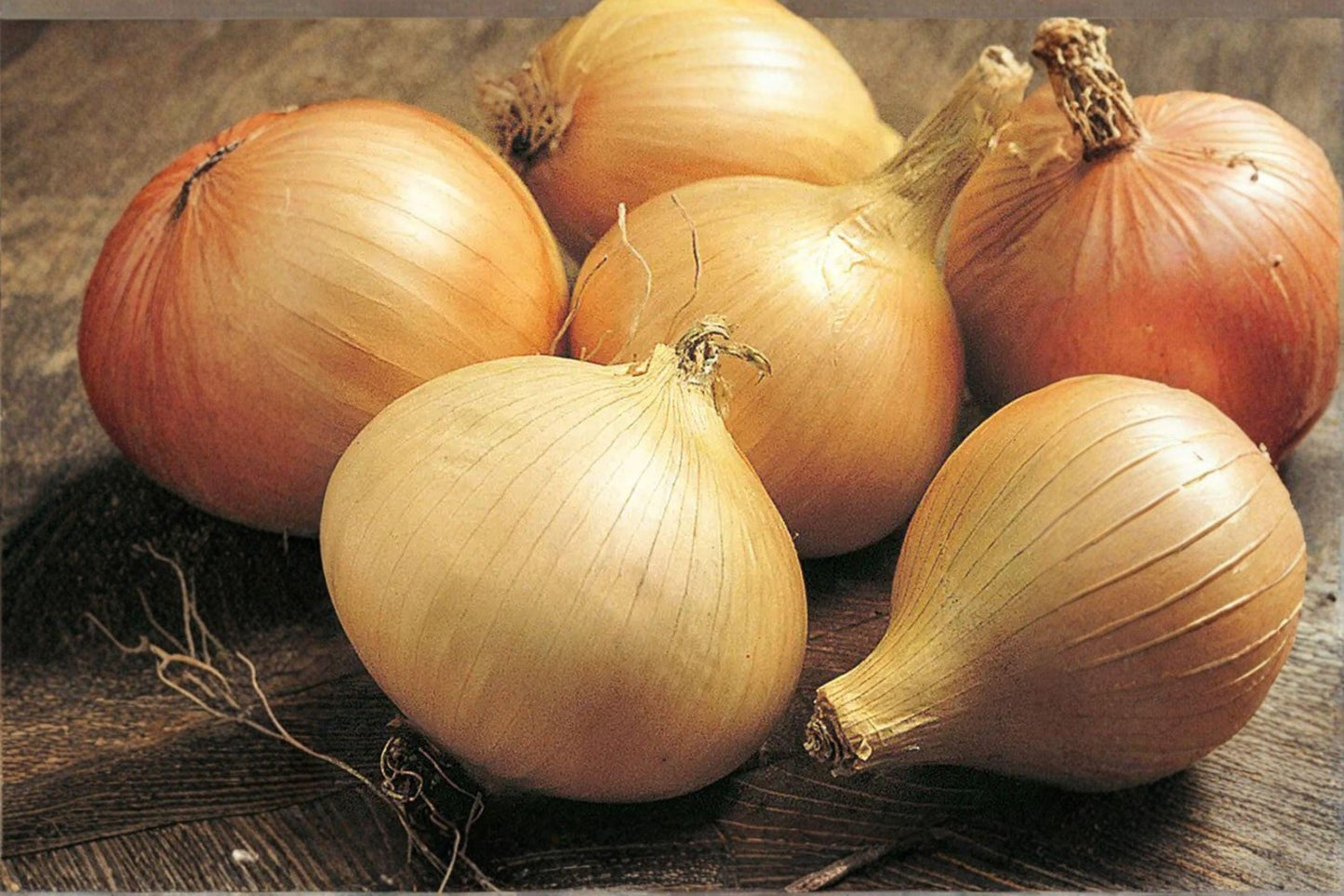Walla Walla Sweet Onion Seeds: Heirloom, Non-GMO (250 mg)