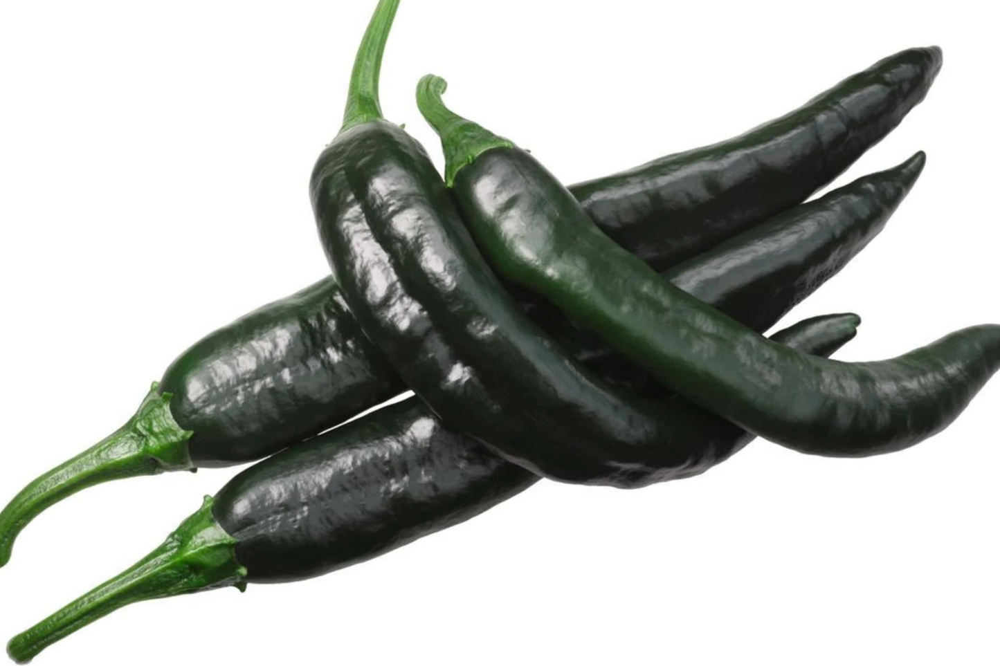 25 Seeds Pasilla Bajio Chilaca Pepper - Capsicum annuum, Mild & Smoky Mexican Chile