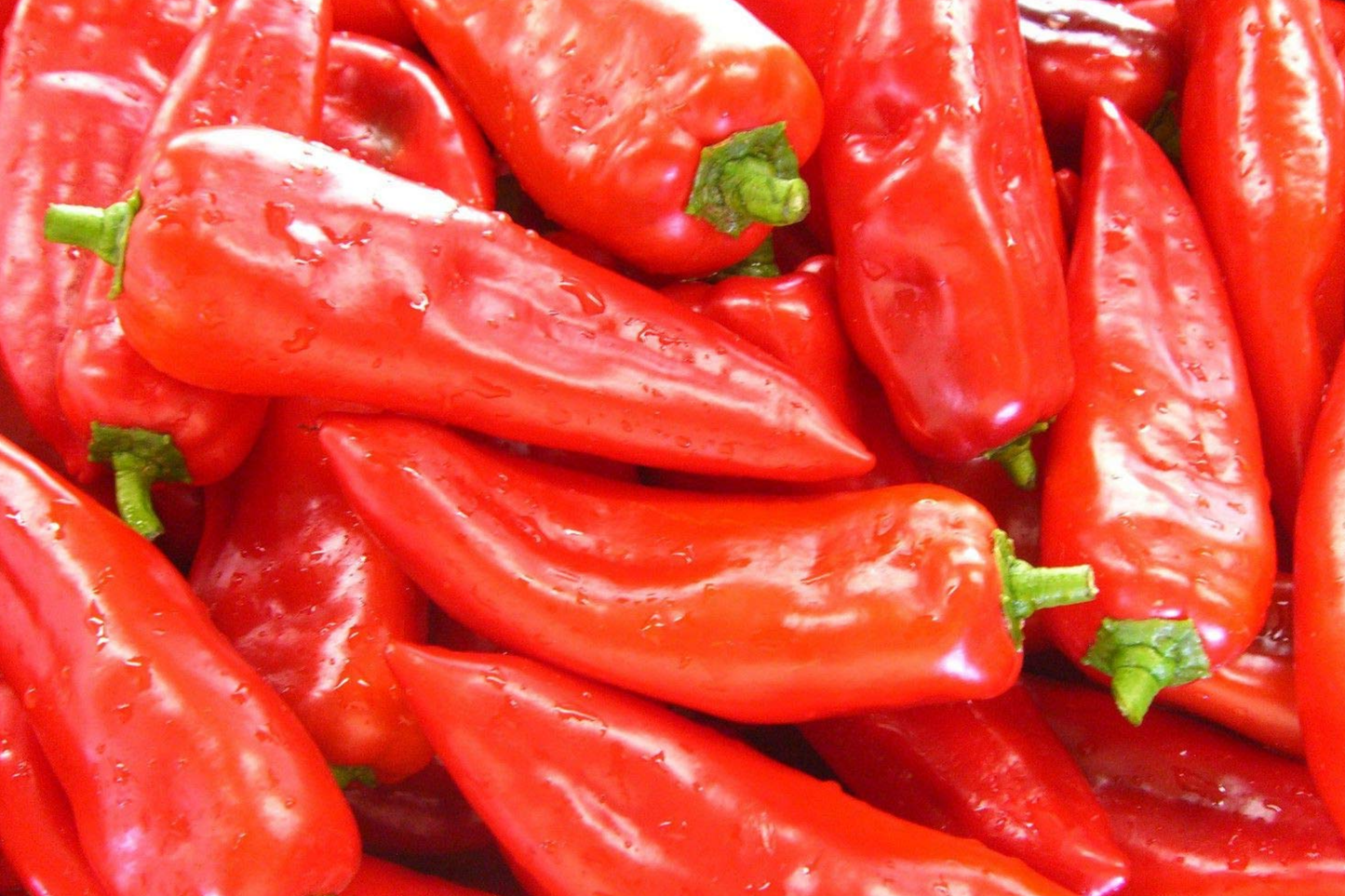 250mg Cubanelle Sweet Pepper Seeds | Capsicum annuum Mild & Sweet | Perfect for Frying and Salads