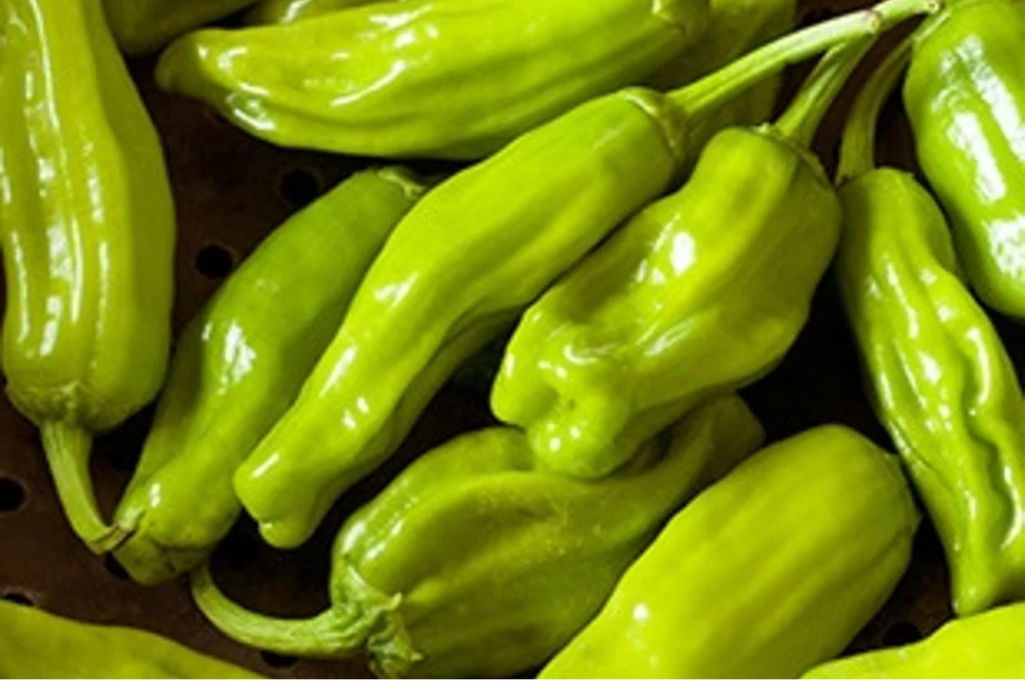 250mg Pepperoncini Italian Sweet Pepper Seeds Capsicum annuum | Non-GMO, Mild Flavor, High Yield, Perfect for Pickling, Easy to Grow