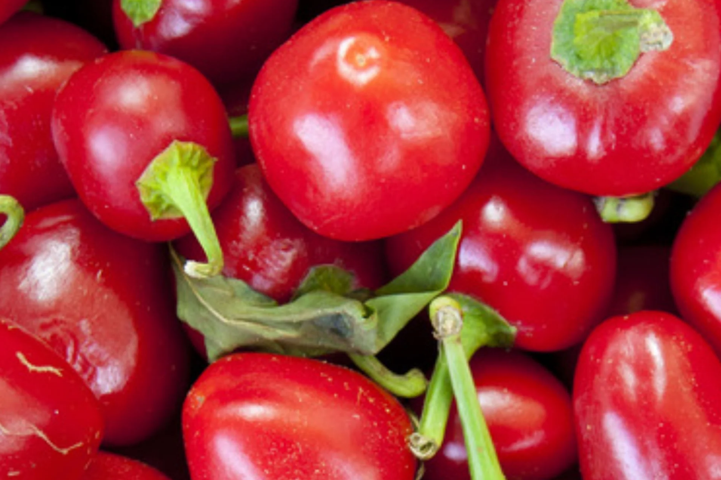 250mg Red Cherry Sweet Pepper Seeds Capsicum annuum | Heirloom, Sweet Flavor, Non-GMO, Easy to Grow, High Yield, Perfect for Pickling