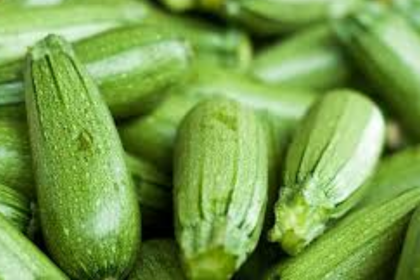 1g Dark Green Zucchini Seeds Cucurbita pepo | High-Yield, Non-GMO Summer Squash, Easy-Grow Vegetable Garden Essential