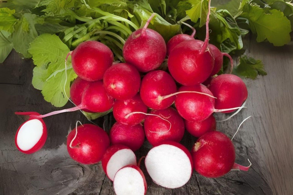 80 Cherry Belle Radish Seeds: Heirloom Salad Vegetable