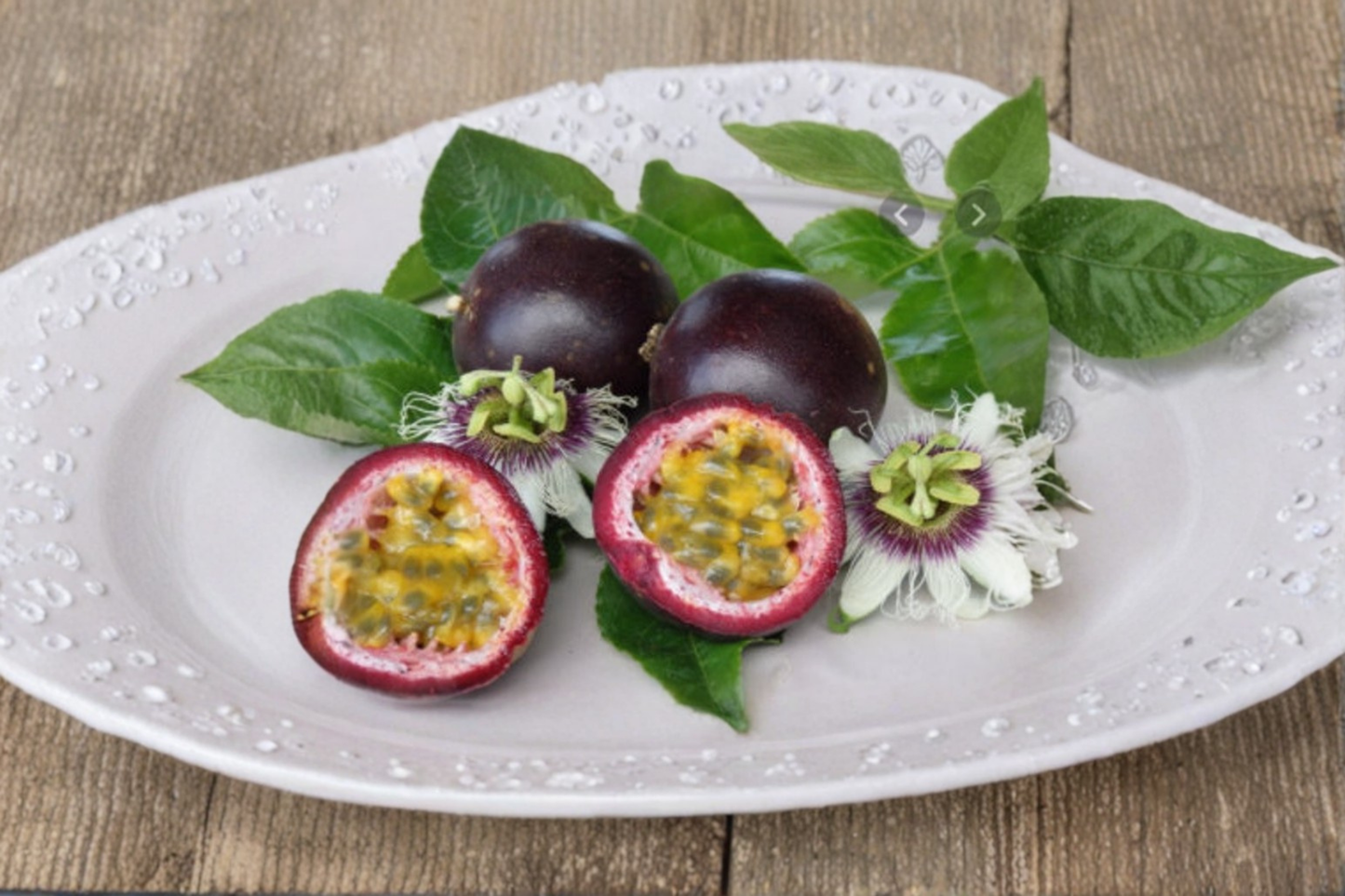 Dwarf Passionfruit Seeds Rare Tropical Vine 10 Seeds for Trellis Garden and Outdoor Growing