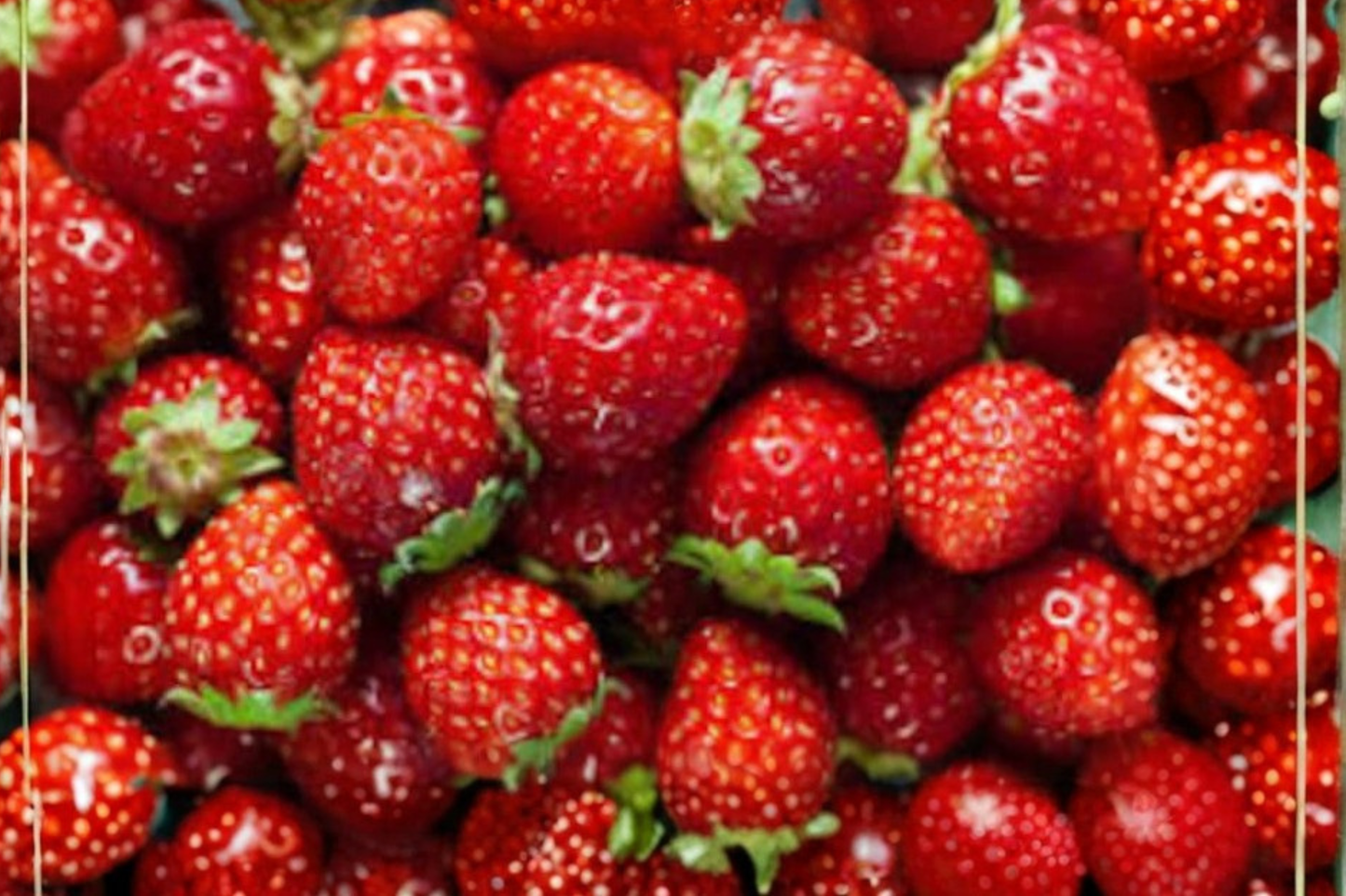 Climbing Everbearing Strawberry Seeds Sweet Berry Plant Indoor Outdoor Gardening 10 Seeds