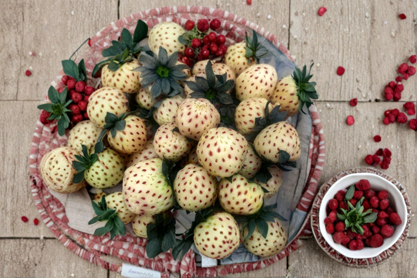 White Pineberry Strawberry Plants 20 Bare Root – Fragaria Pineberry Live Plants White Strawberry Garden Fruit Plants