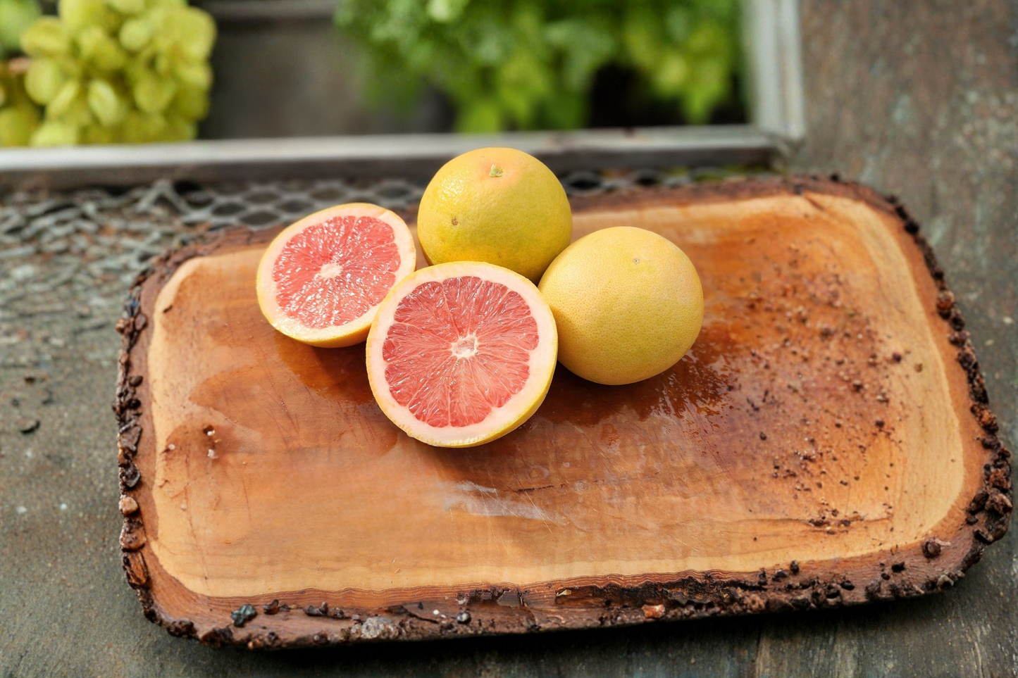 Flame Grapefruit Tree Live Plant 1 Gallon Red Flesh Grapefruit Citrus Tree Sweet Fruit Backyard Orchard Plant