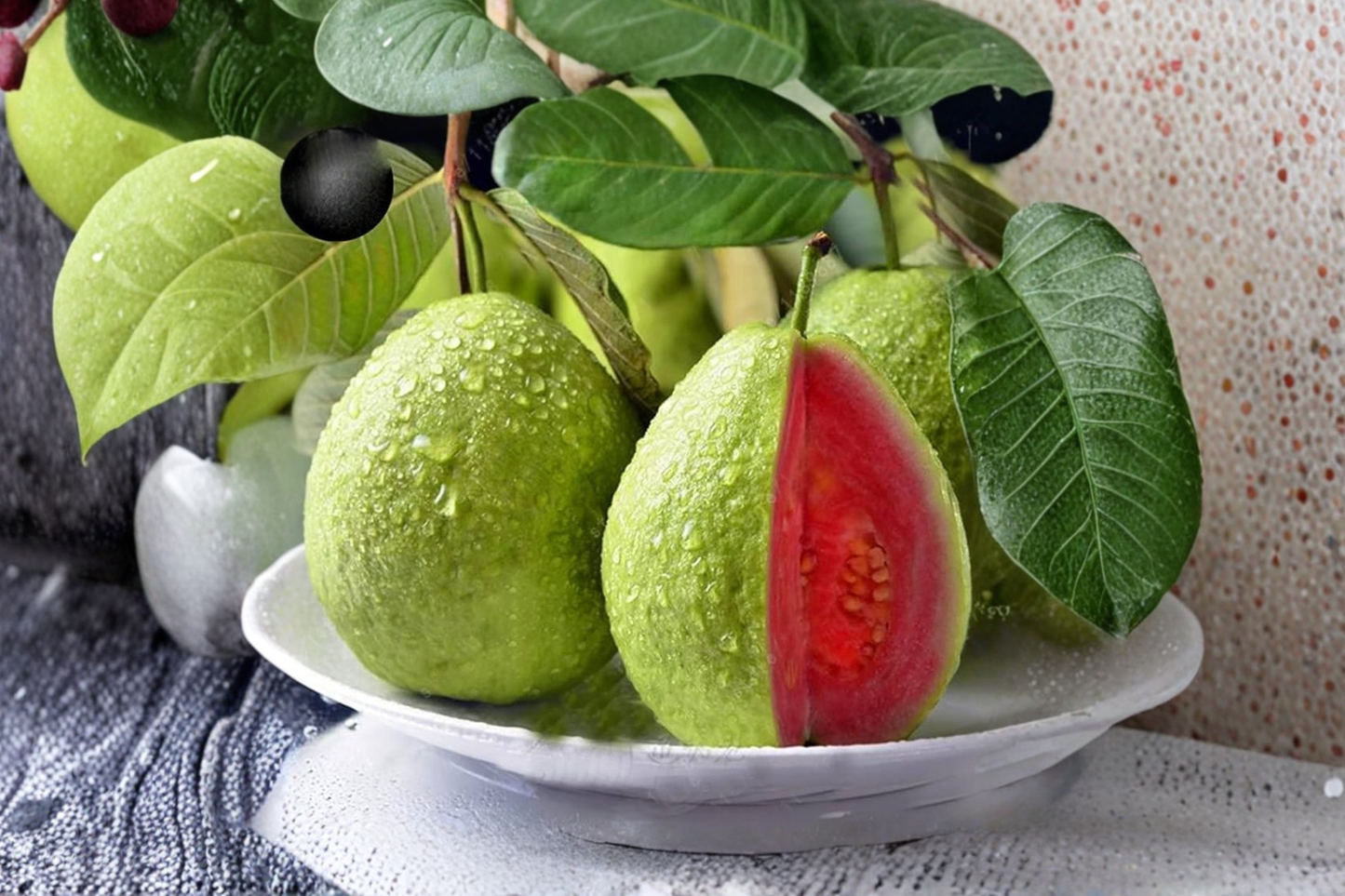 Giant Guava Seeds Tropical Fruit Tree 30 Seeds for Indoor Pot and Outdoor Garden Growing