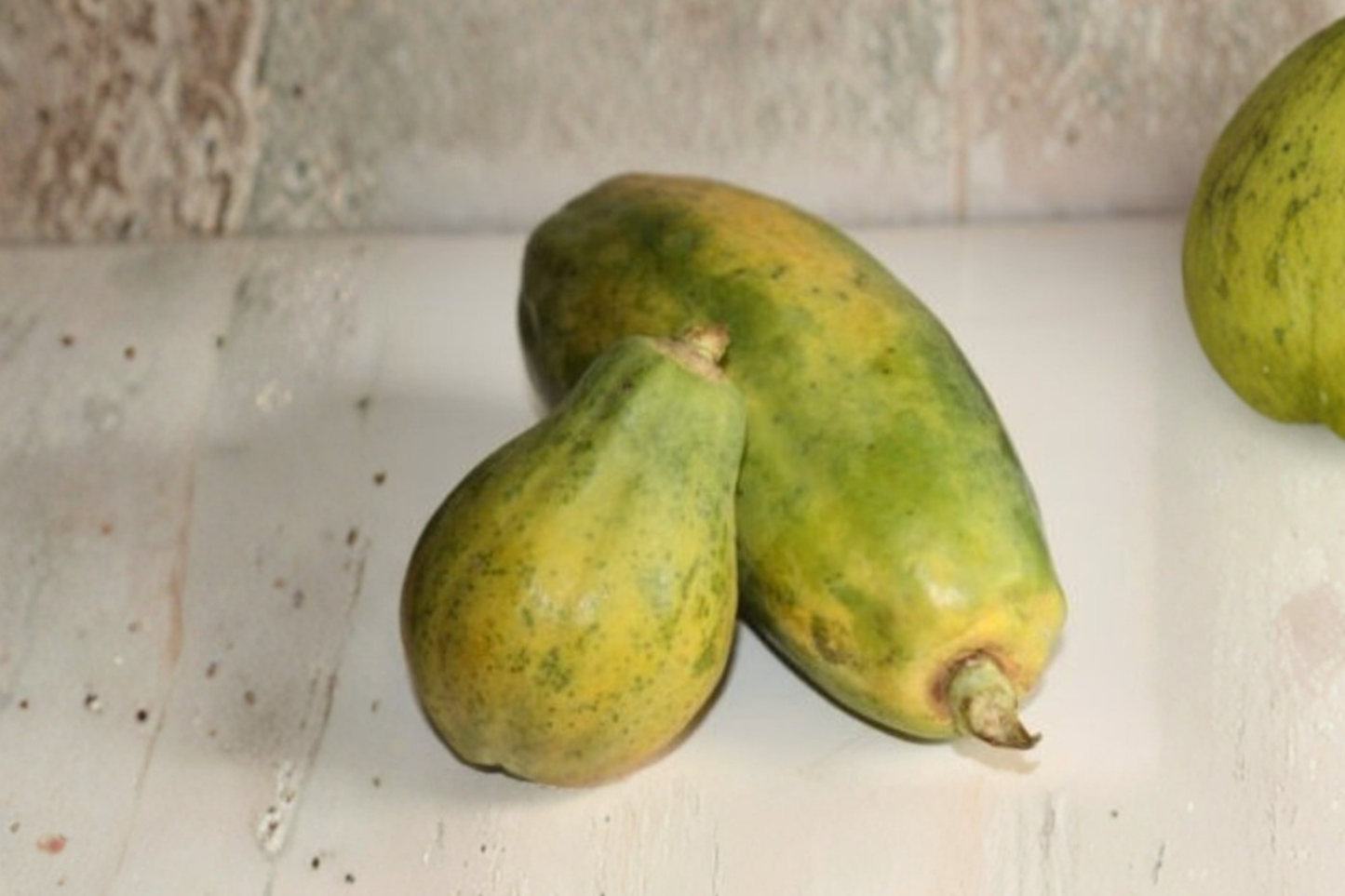 Giant Papaya Seeds Rare Tropical Fruit Variety 10 Seeds Exotic Papaya Plant for Outdoor Garden Growing
