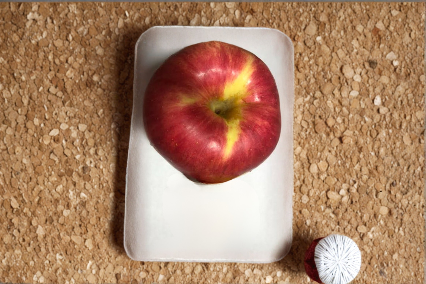 Jumbo Apple Tree Seeds Open Pollinated Apple Variety 10 Seeds Fruit Tree Garden Planting Seed Pack