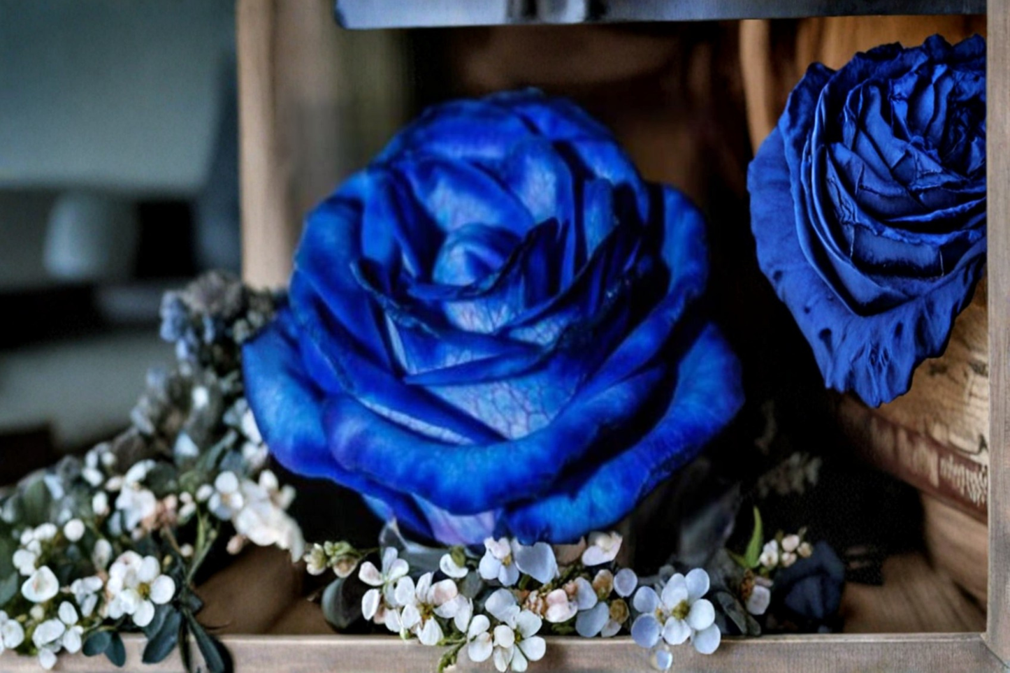 Hampton Blue Rose Seeds Rare Flower Bush 30 Seeds Garden Rose Plant Ornamental Bloom for Outdoor Planting