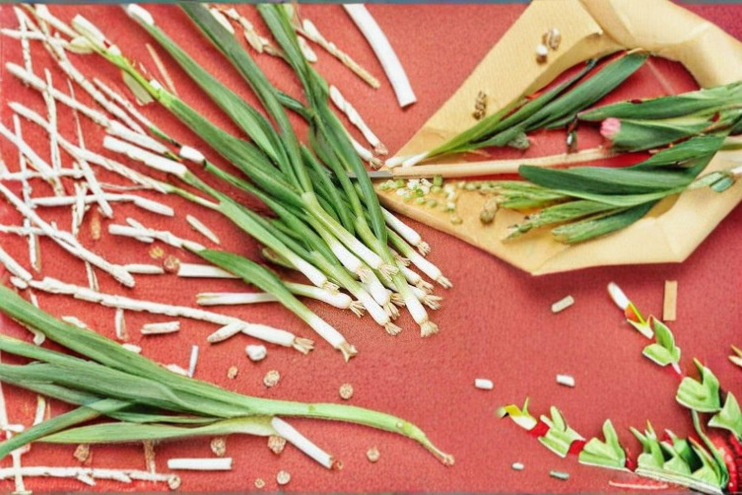 250 mg Seeds for Planting Onion Evergreen Bunching β Non-Bulbing Green Onion, Heirloom Vegetable