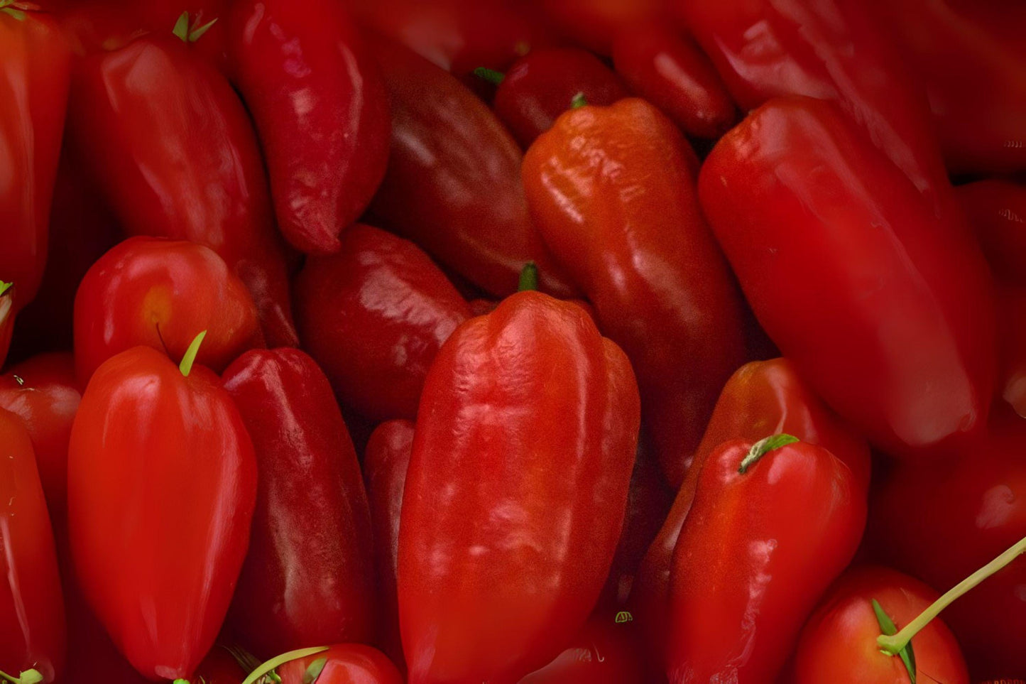 250mg Seeds Giant Marconi Red Sweet Pepper | Heirloom Garden Seeds