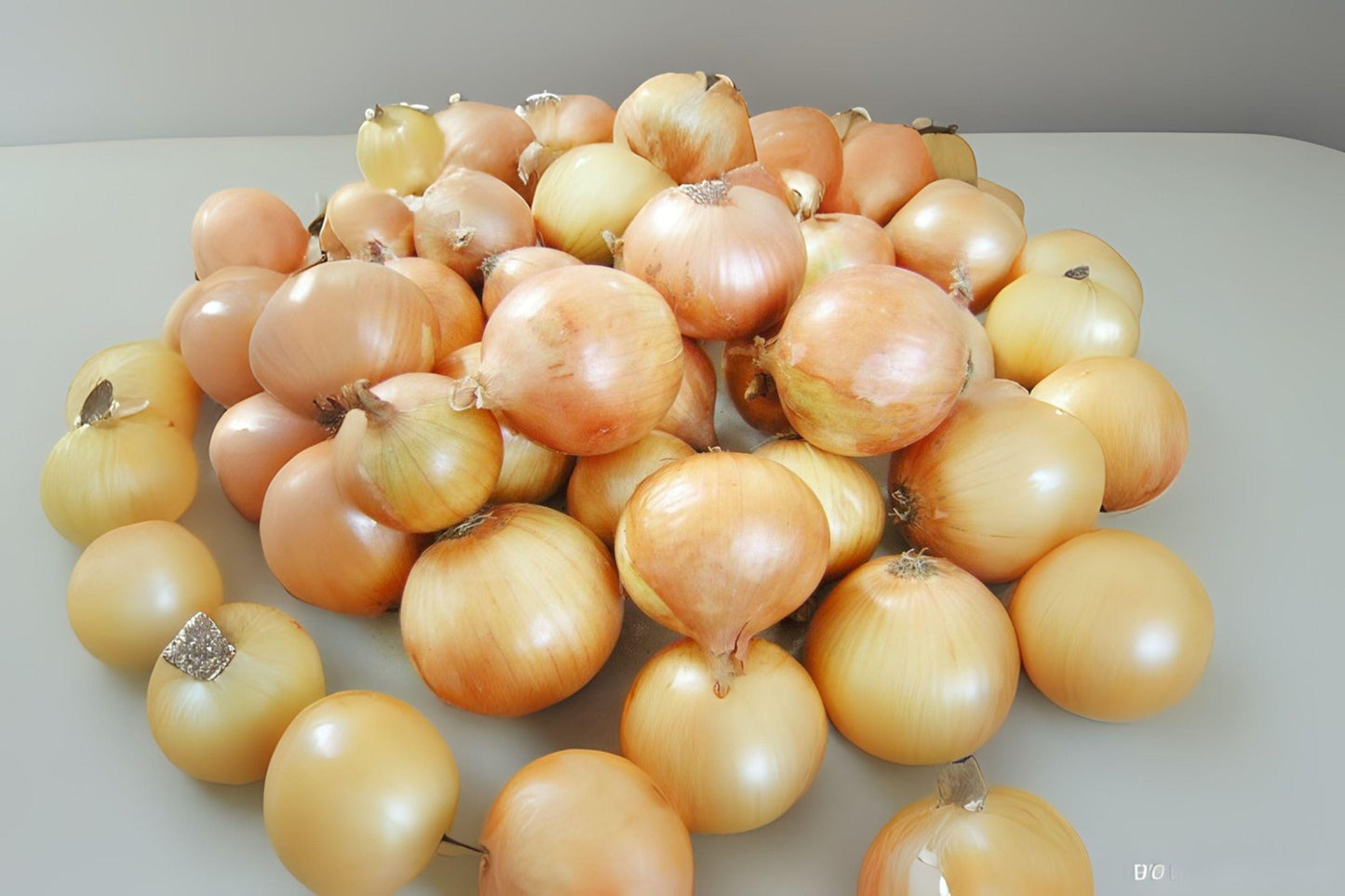 Texas Grano 502 Onion Seeds - Sweet Yellow Heirloom Variety