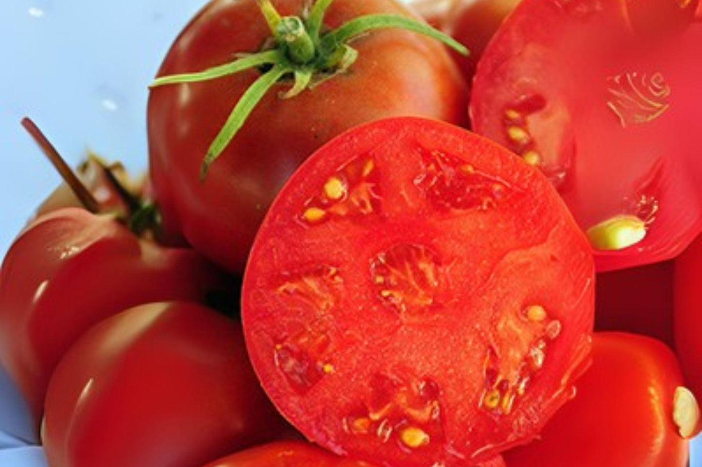 100 mg Seeds Tomato Legend | Disease Resistant | Heirloom Red Slicer | Non-GMO Garden Vegetable