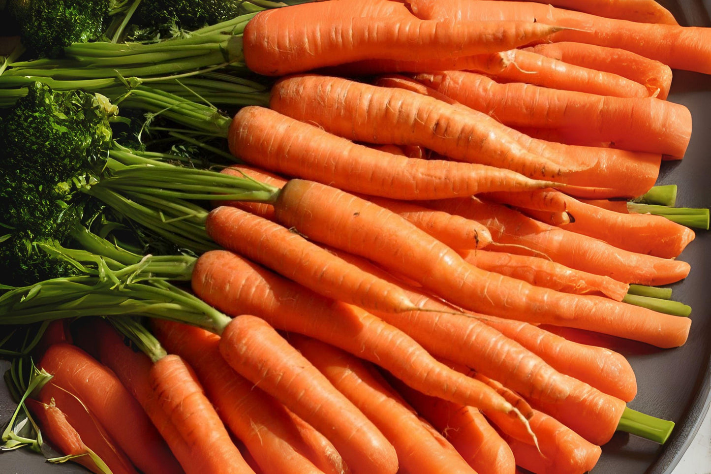 Tendersweet Carrot Seeds: Heirloom Variety, Sweet & Tender