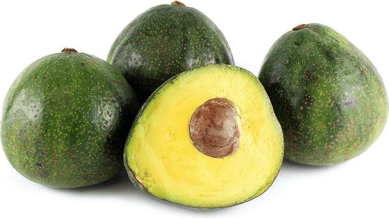 Nabal Avocado Tree - Grafted 2 to 3 Feet Tall - 3 Gallon Pot - Persea americana