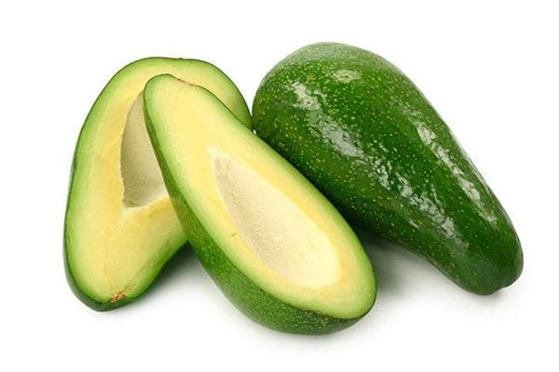 Fuerte Avocado Tree - 2 Feet Tall Grafted Plant - Ship in 6" Pot - Persea americana