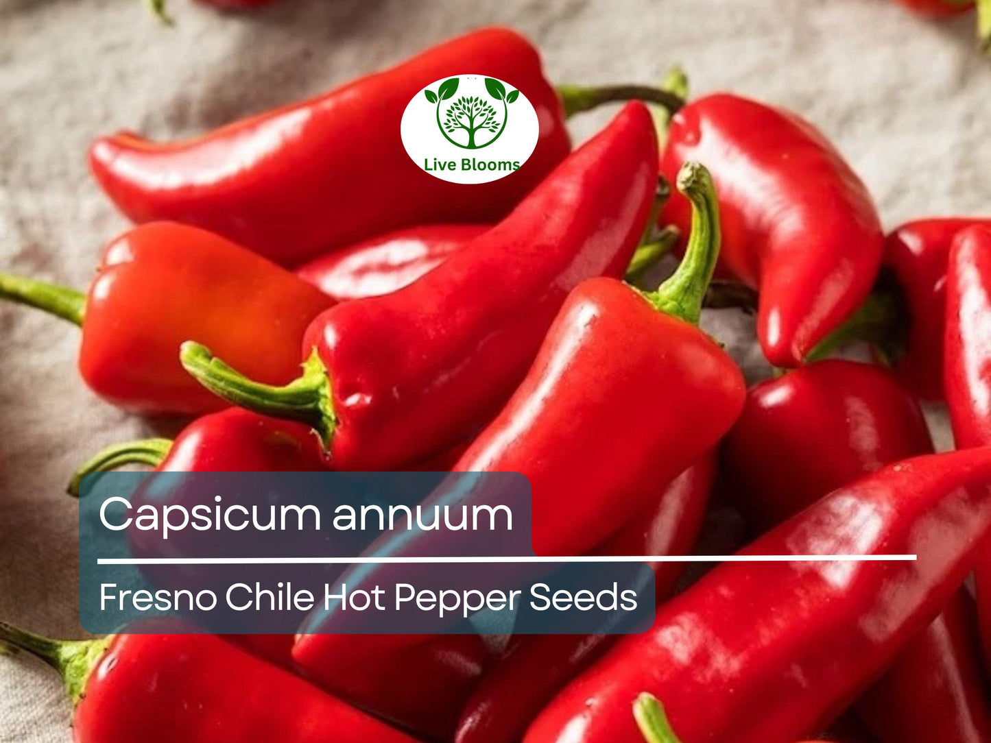 250 mg Fresno Chile Hot Pepper Seeds - Capsicum annuum | Heirloom Pepper for Planting, Spicy and Flavorful, Great for Salsas & Cooking
