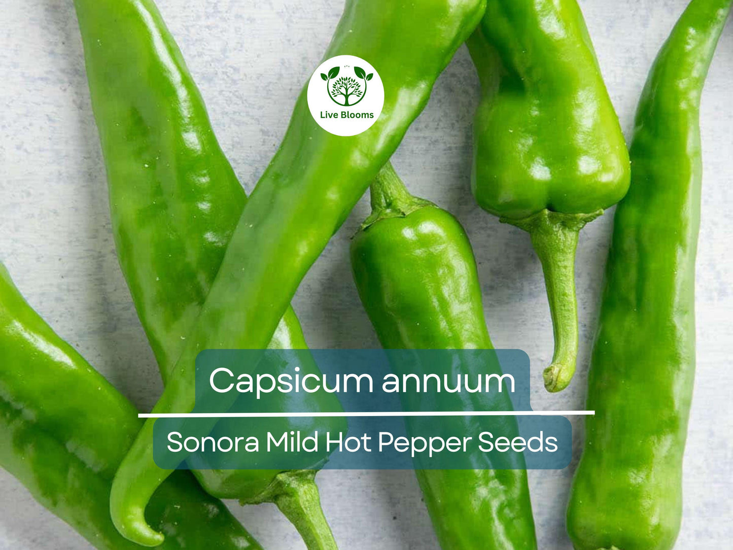 250 mg Sonora Mild Hot Pepper Seeds - Capsicum annuum | Heirloom Pepper for Planting, Gardening & Cooking | Mild Heat, Great Flavor