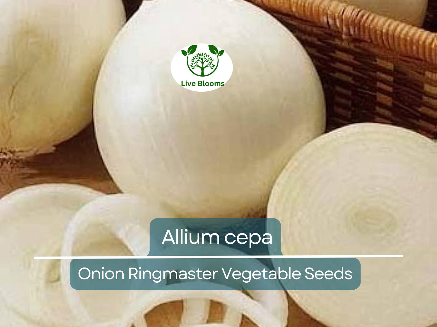 250 mg Seeds Onion Ringmaster – Allium cepa Heirloom Variety for Planting | Sweet, Mild, Perfect for Rings & Cooking
