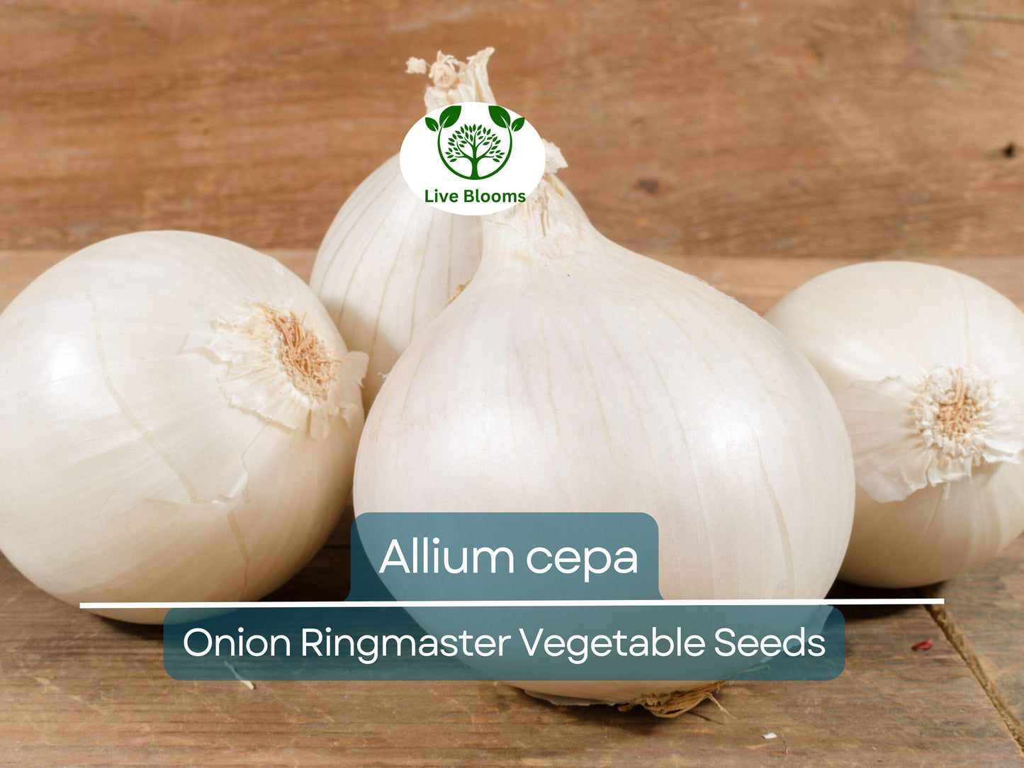 250 mg Seeds Onion Ringmaster – Allium cepa Heirloom Variety for Planting | Sweet, Mild, Perfect for Rings & Cooking