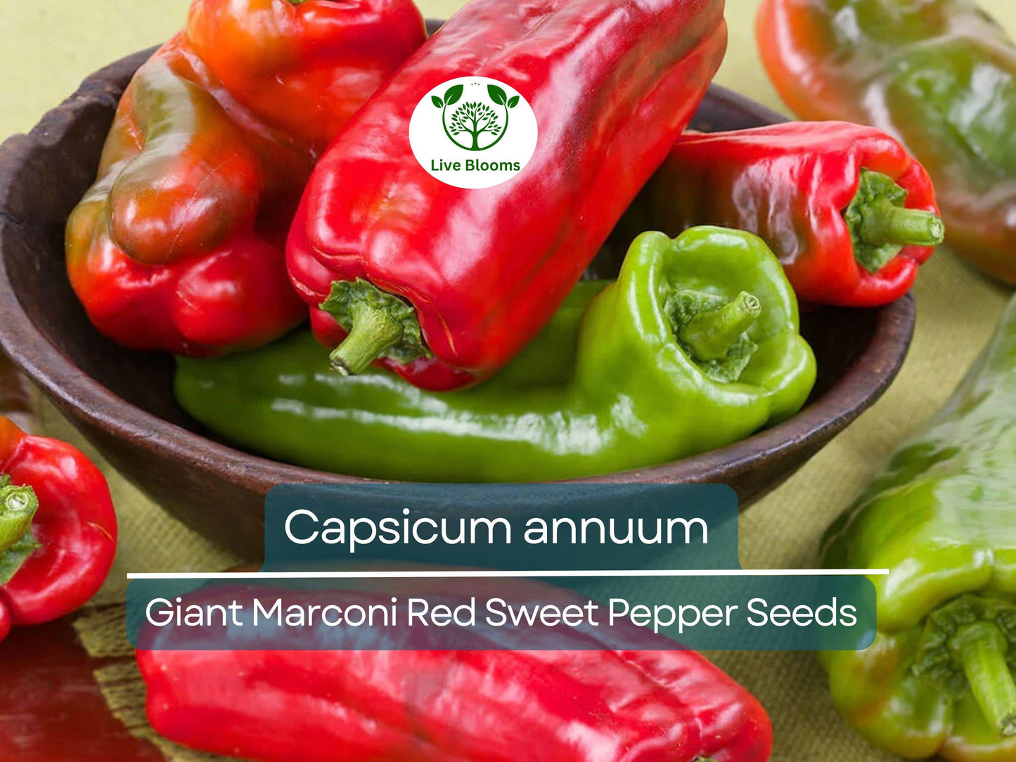 250 mg Giant Marconi Red Sweet Pepper Seeds - Capsicum annuum | Heirloom Sweet Pepper for Planting, Gardening & Culinary Use