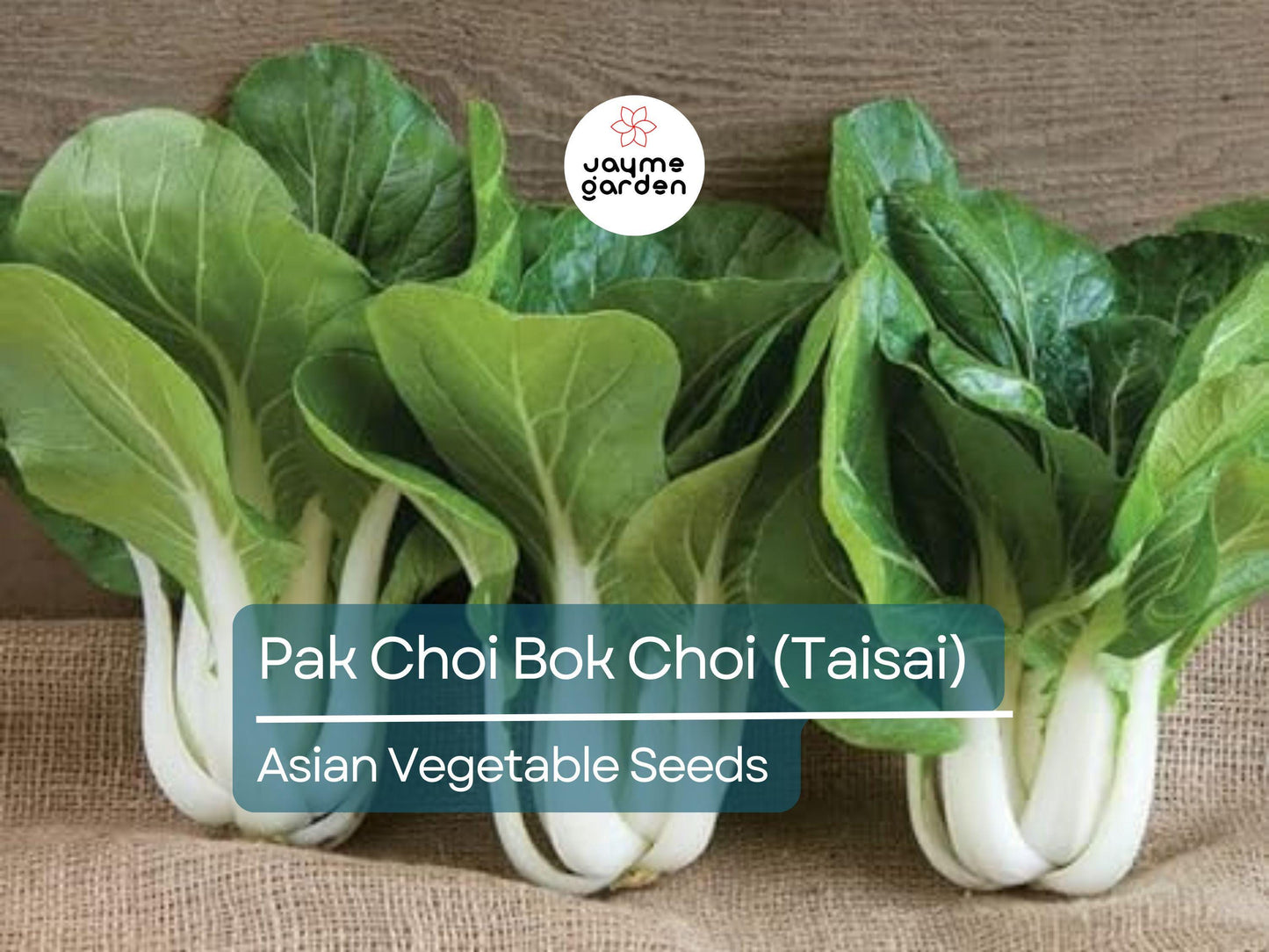 500mg Pak Choi Bok Choi Taisai Seeds - Heirloom Non-GMO Asian Greens - Fast-Growing for Stir-Fries, Soups, Salads & Gardening