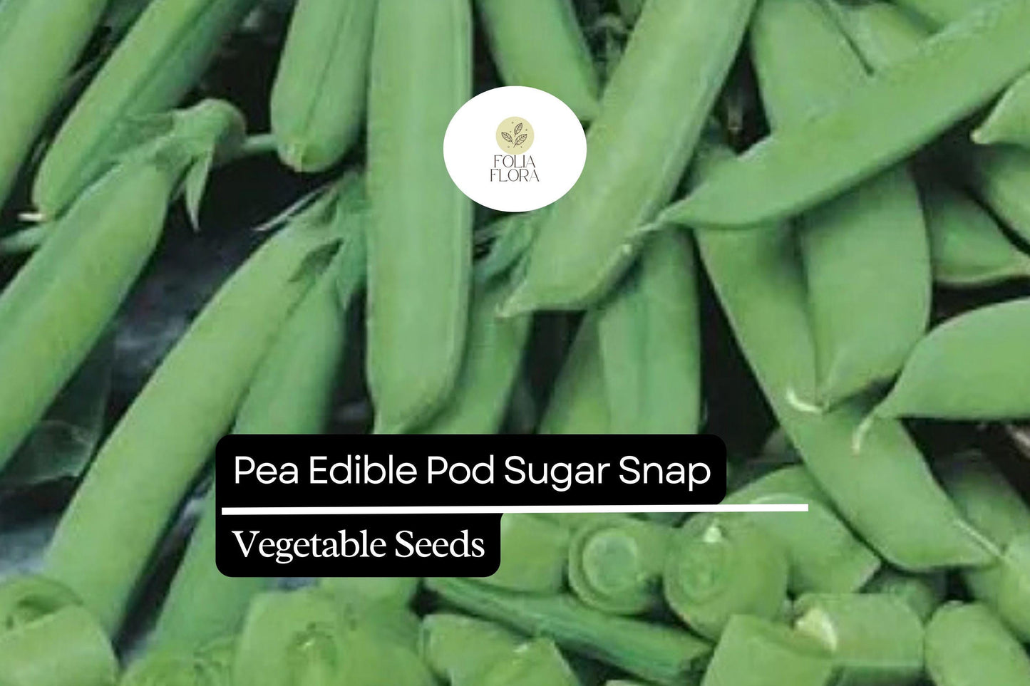 5g Pea Edible Pod Sugar Snap Seeds Pisum sativum | Sweet, Crunchy Heirloom, Non-GMO, Easy-to-Grow, Perfect for Fresh Snacking