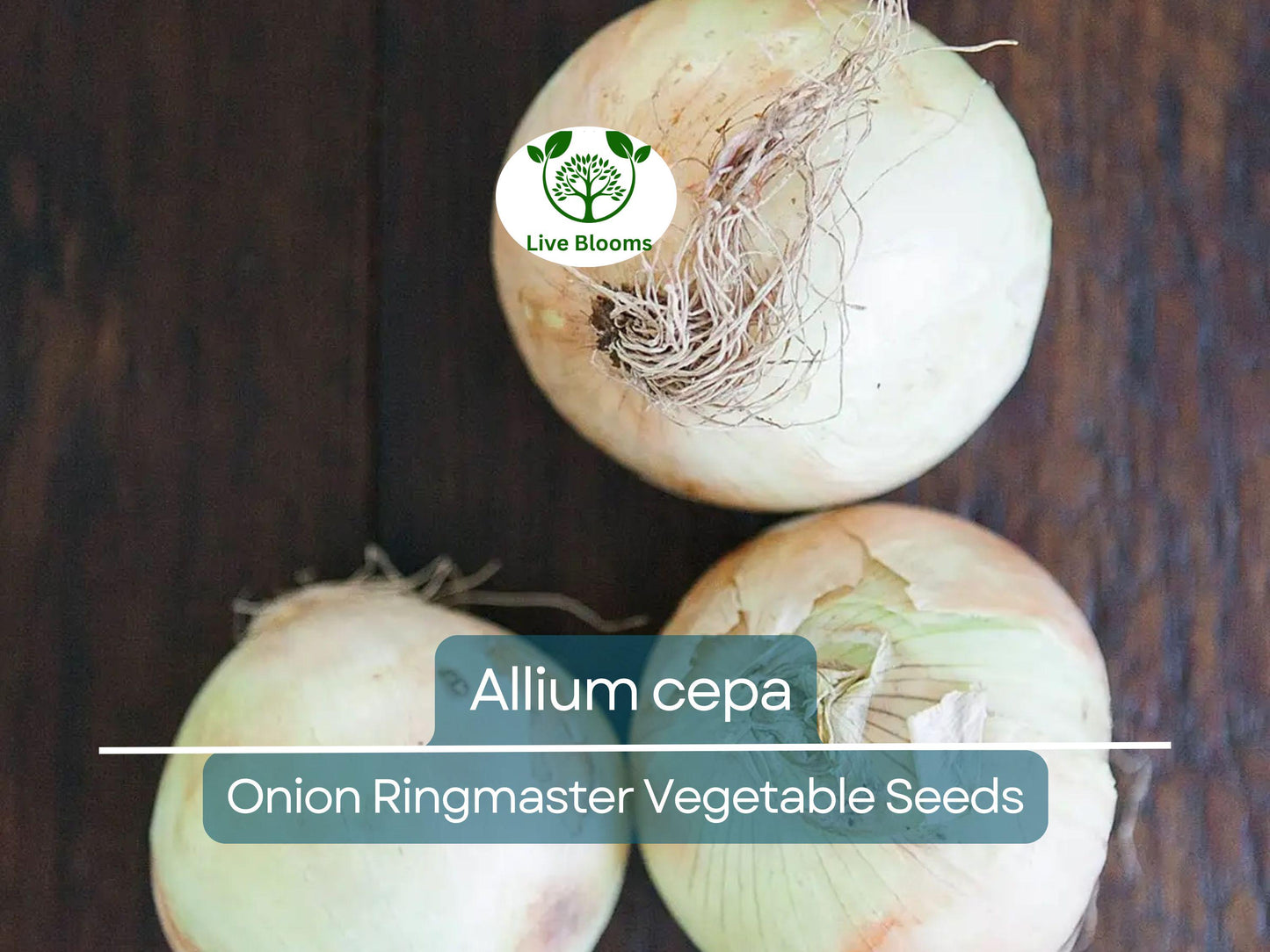 250 mg Seeds Onion Ringmaster – Allium cepa Heirloom Variety for Planting | Sweet, Mild, Perfect for Rings & Cooking