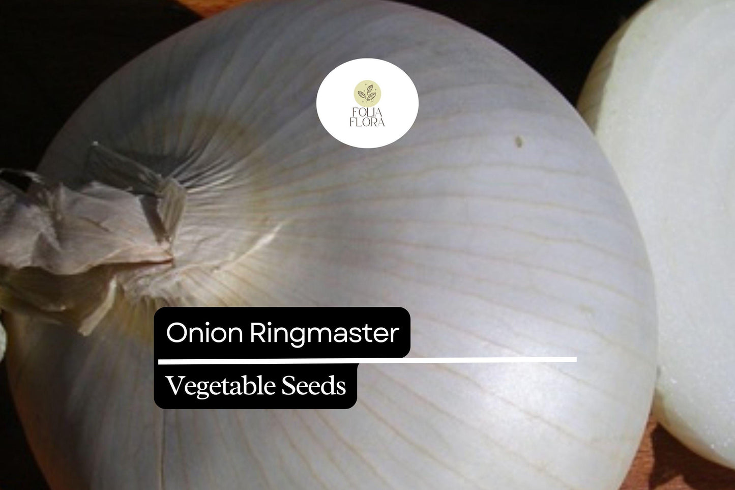 Onion Ringmaster Seeds 250mg | Allium cepa | Non-GMO, Crisp White Bulbs, Perfect for Rings, Salads & Cooking, Easy to Grow