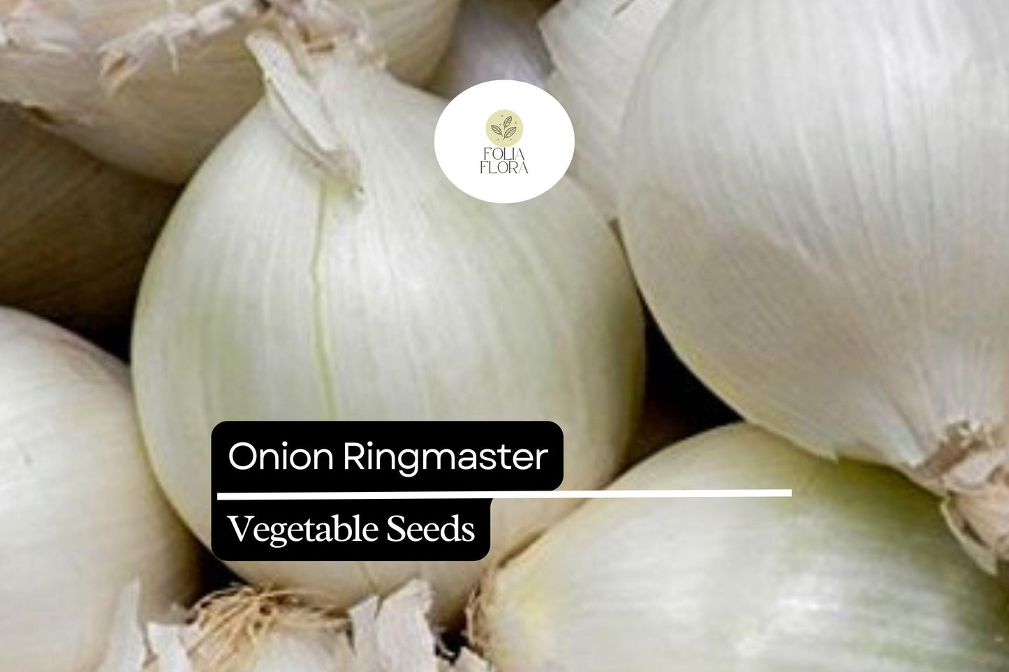 Onion Ringmaster Seeds 250mg | Allium cepa | Non-GMO, Crisp White Bulbs, Perfect for Rings, Salads & Cooking, Easy to Grow