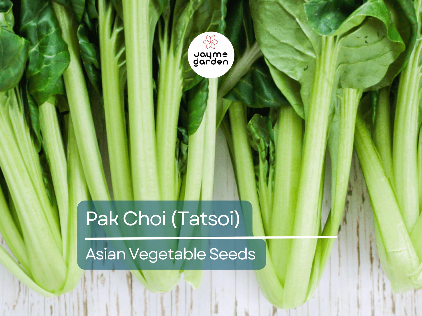 500mg Pak Choi Tatsoi Seeds for Planting - Heirloom Non-GMO Asian Greens - Fast-Growing for Stir-Fries, Salads & Garden Vegetables