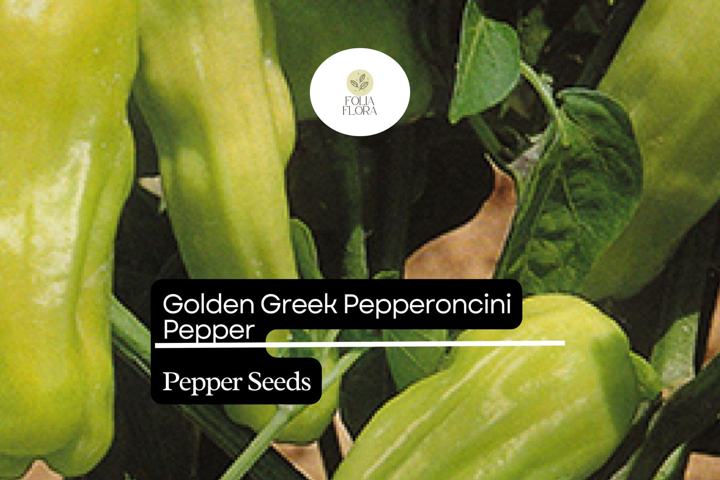 30 Seeds Golden Greek Pepperoncini – Mild Pepper, Capsicum annuum