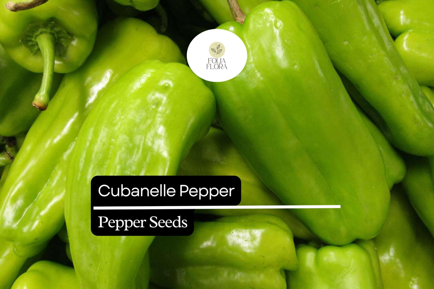 30 Seeds Cubanelle Pepper, Capsicum Annuum, Sweet Mild Heirloom Frying Pepper