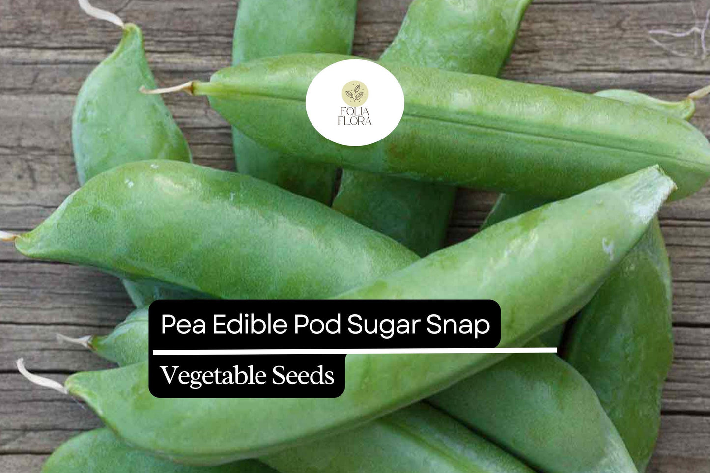 5g Pea Edible Pod Sugar Snap Seeds Pisum sativum | Sweet, Crunchy Heirloom, Non-GMO, Easy-to-Grow, Perfect for Fresh Snacking